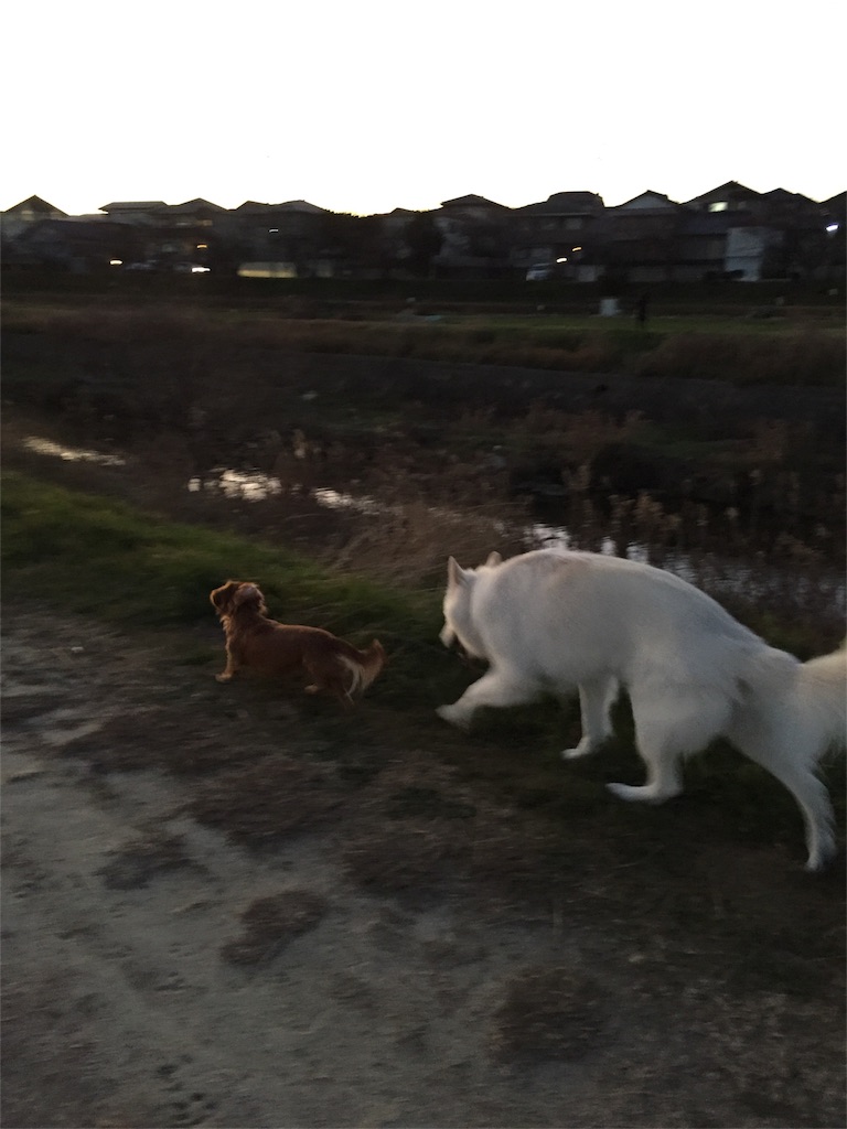 f:id:Lien0927:20181231201507j:image f:id:Lien0927:20181231201507j:image