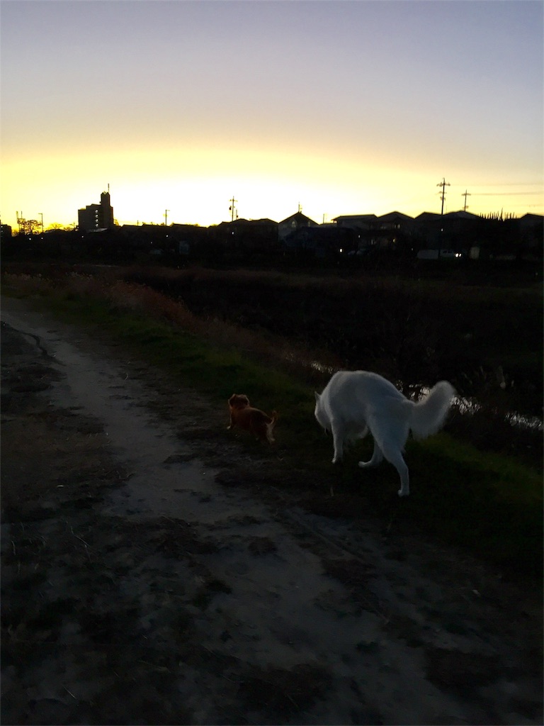 f:id:Lien0927:20181231201513j:image f:id:Lien0927:20181231201513j:image