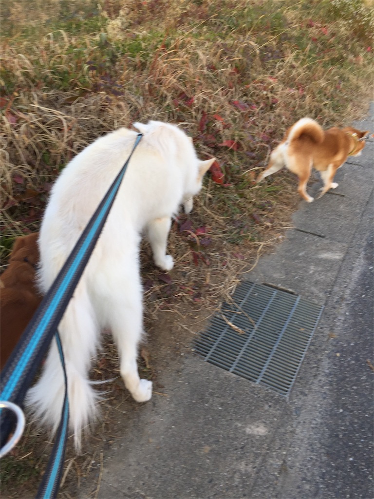 f:id:Lien0927:20190107183522j:image f:id:Lien0927:20190107183522j:image