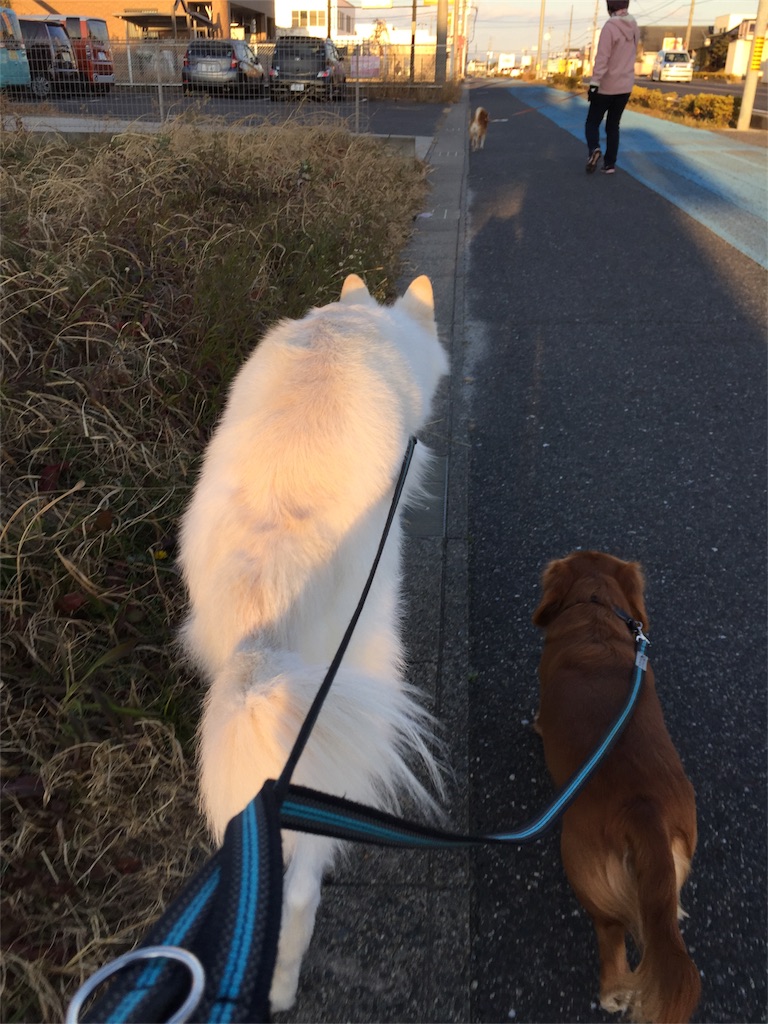 f:id:Lien0927:20190107183532j:image f:id:Lien0927:20190107183532j:image