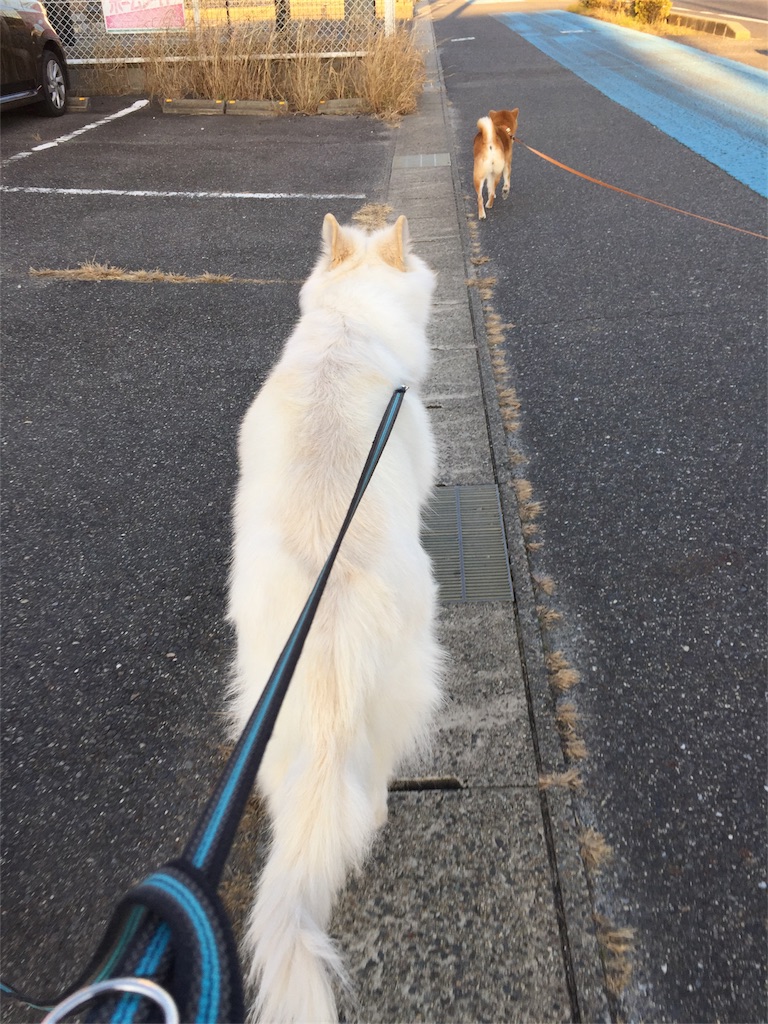 f:id:Lien0927:20190107183536j:image f:id:Lien0927:20190107183536j:image