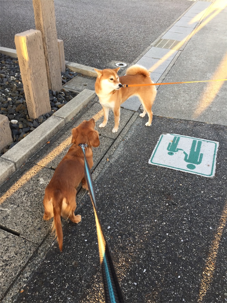 f:id:Lien0927:20190107184411j:image f:id:Lien0927:20190107184411j:image