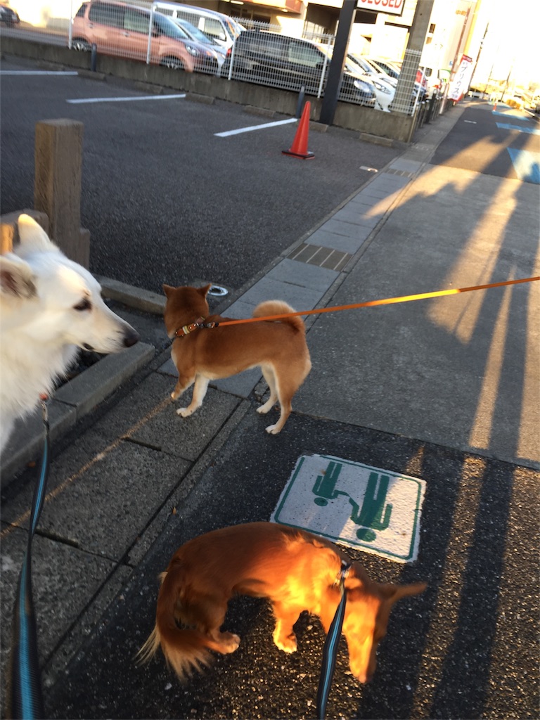 f:id:Lien0927:20190107184416j:image f:id:Lien0927:20190107184416j:image