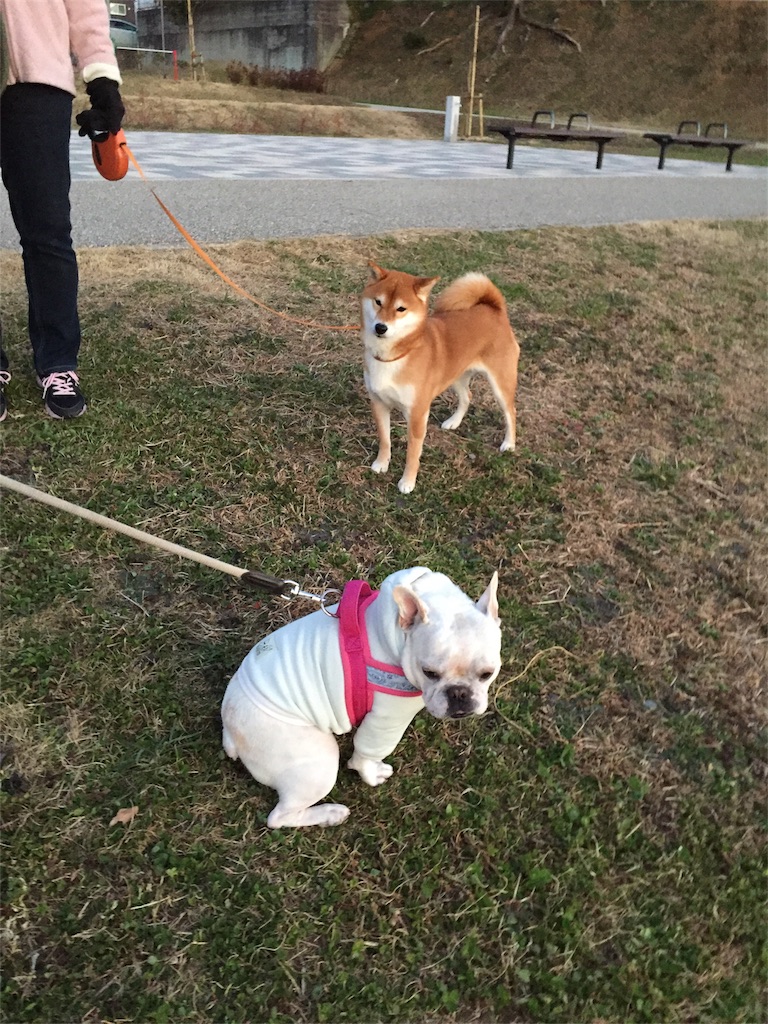 f:id:Lien0927:20190107184704j:image f:id:Lien0927:20190107184704j:image