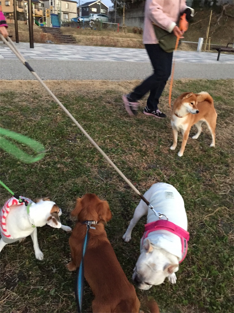 f:id:Lien0927:20190107184709j:image f:id:Lien0927:20190107184709j:image