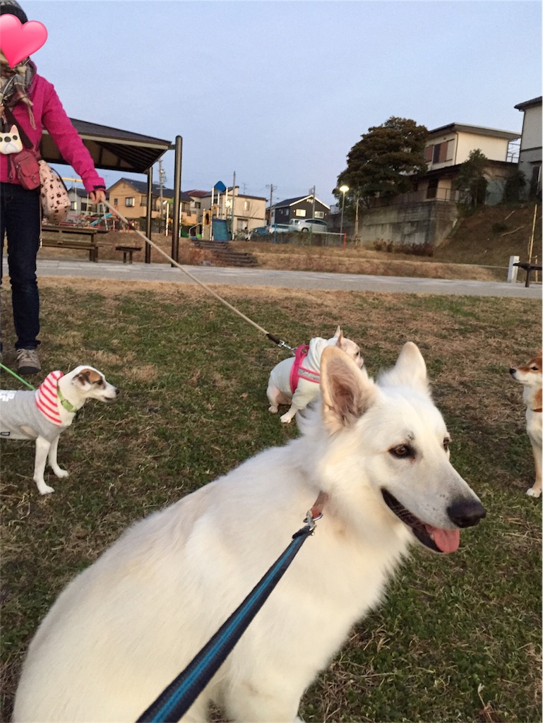 f:id:Lien0927:20190107191835j:image f:id:Lien0927:20190107191835j:image