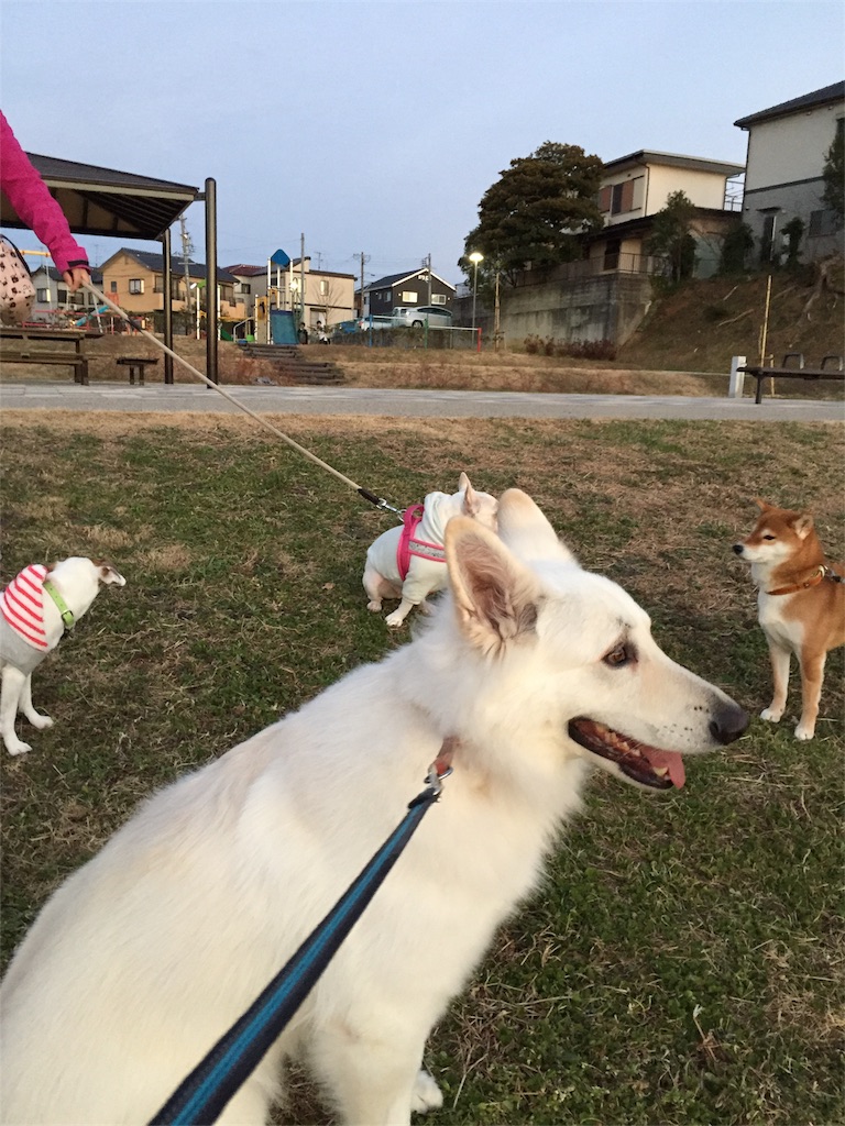 f:id:Lien0927:20190107191842j:image f:id:Lien0927:20190107191842j:image