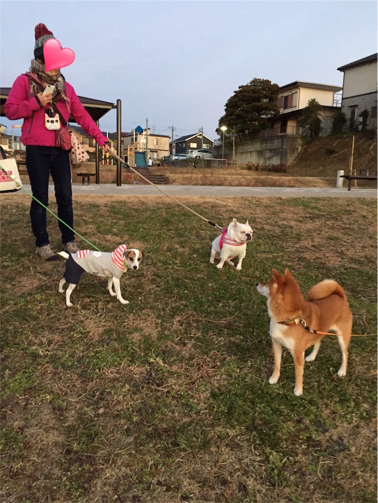 f:id:Lien0927:20190107191942j:image f:id:Lien0927:20190107191942j:image