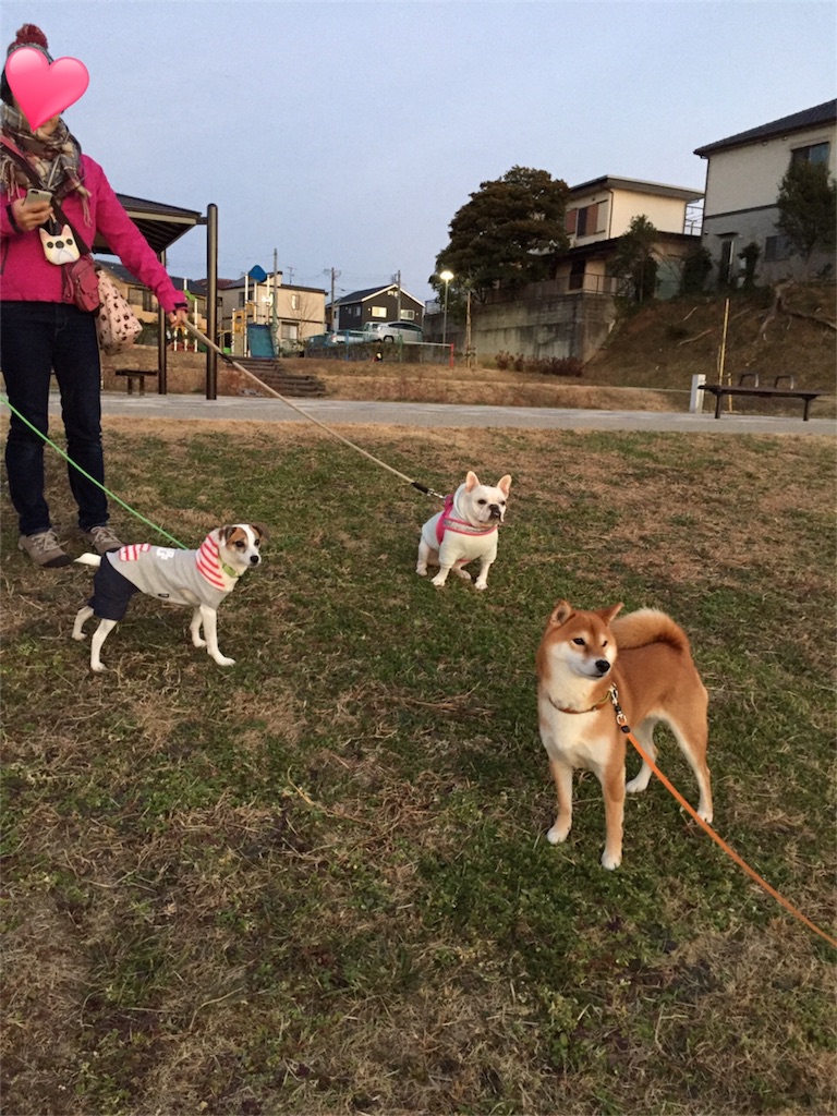 f:id:Lien0927:20190107191945j:image f:id:Lien0927:20190107191945j:image