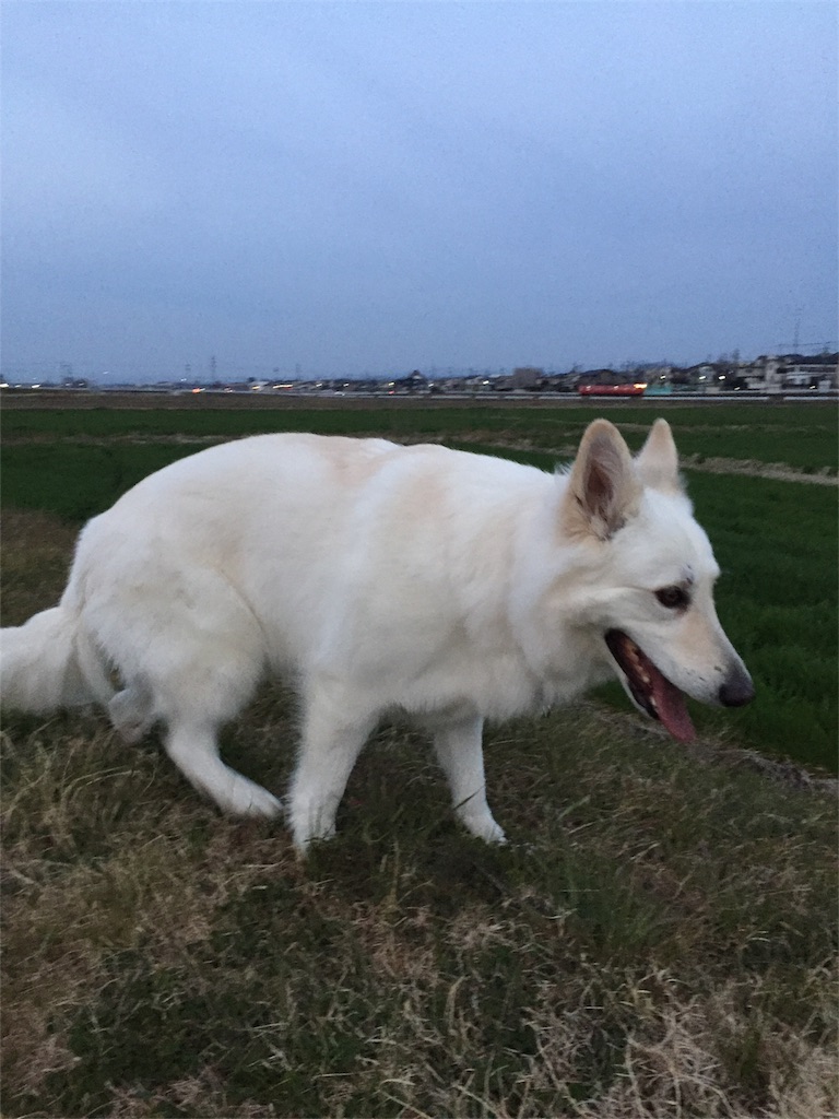 f:id:Lien0927:20190302200936j:image f:id:Lien0927:20190302200936j:image