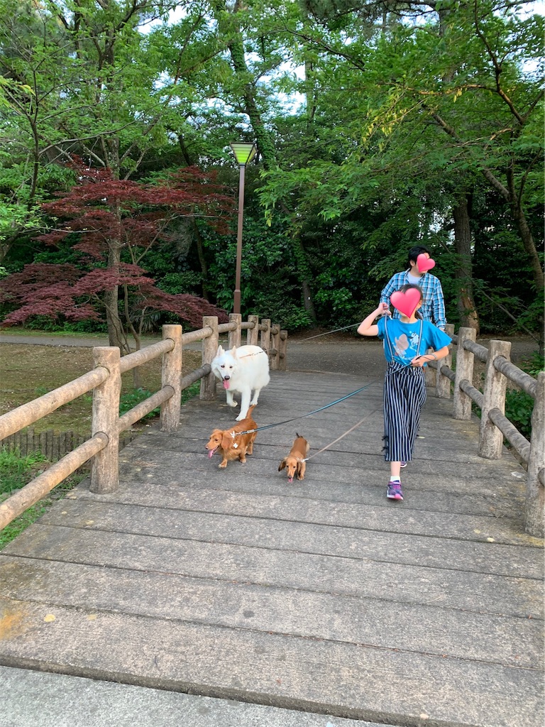 f:id:Lien0927:20190519225636j:image