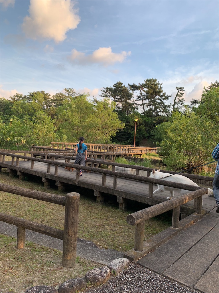 f:id:Lien0927:20190519225640j:image