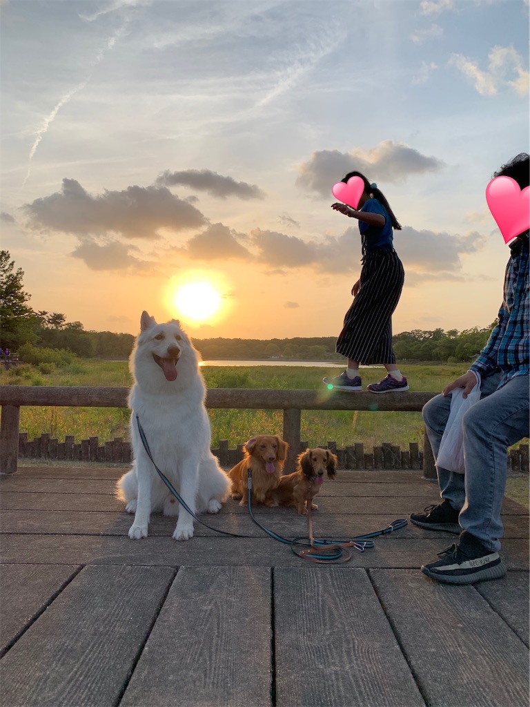 f:id:Lien0927:20190519231439j:image