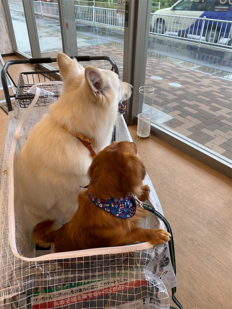 f:id:Lien0927:20190528182054j:image