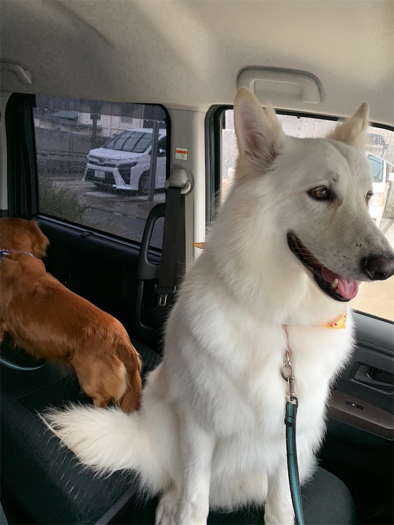 f:id:Lien0927:20190528182415j:image