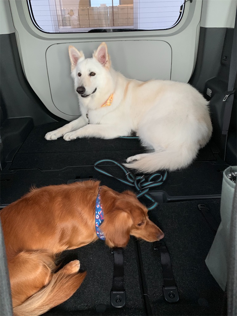 f:id:Lien0927:20190528182418j:image