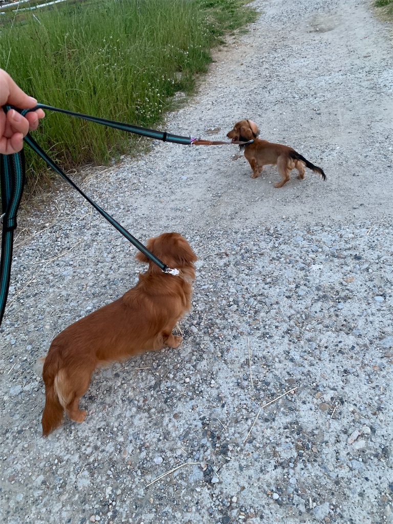 f:id:Lien0927:20190612162014j:image f:id:Lien0927:20190612162014j:image