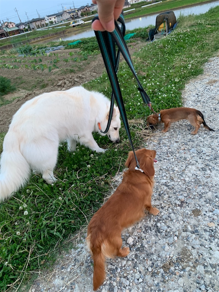 f:id:Lien0927:20190612162021j:image f:id:Lien0927:20190612162021j:image