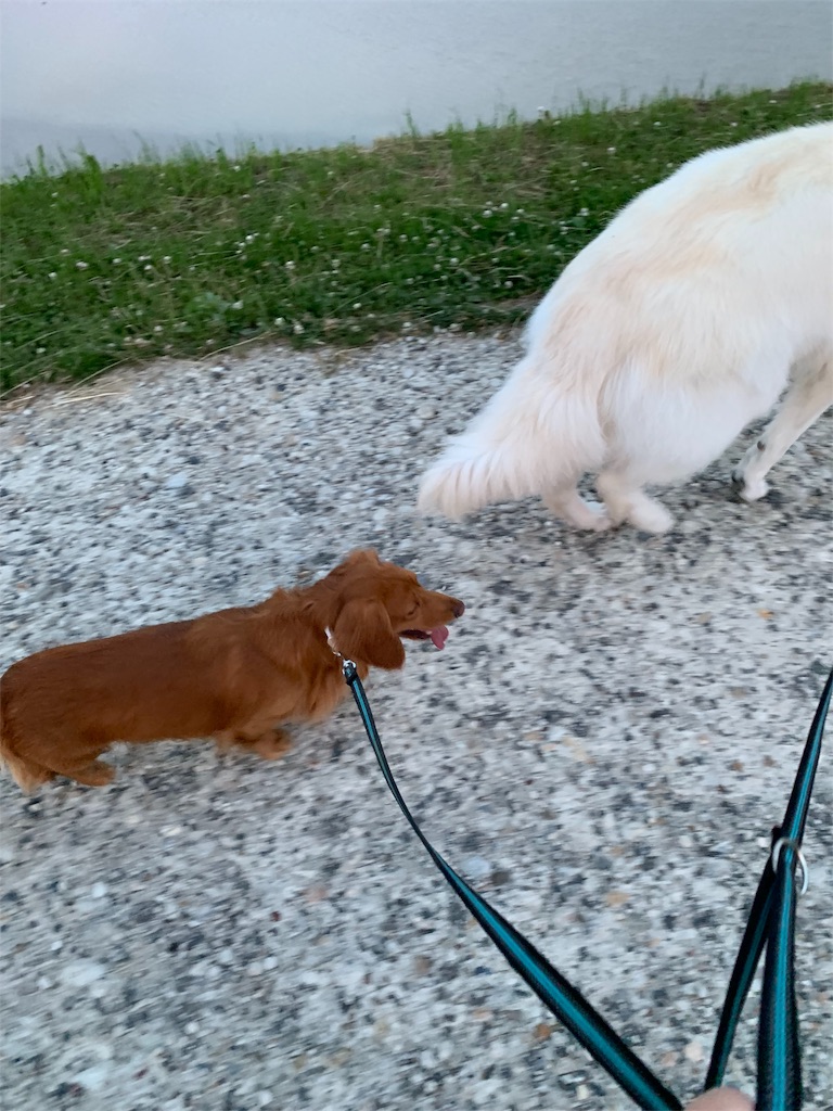 f:id:Lien0927:20190612162201j:image f:id:Lien0927:20190612162201j:image