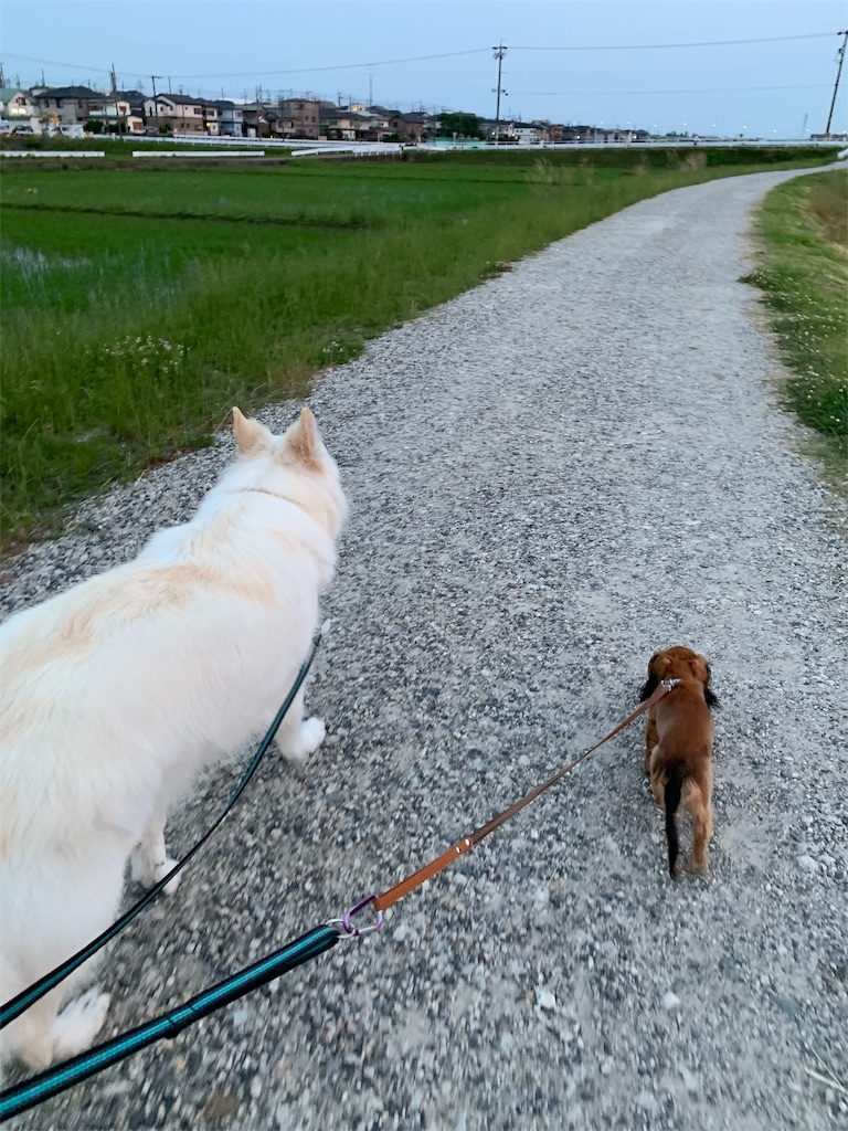 f:id:Lien0927:20190612162441j:image f:id:Lien0927:20190612162441j:image