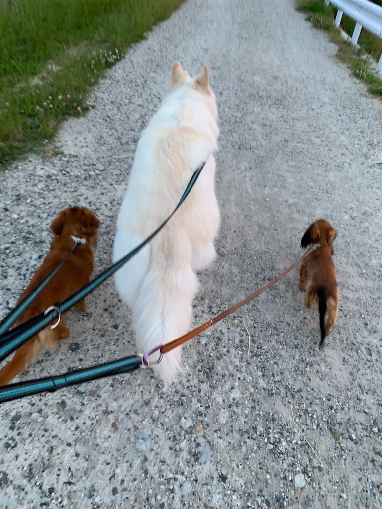 f:id:Lien0927:20190612162547j:image f:id:Lien0927:20190612162547j:image