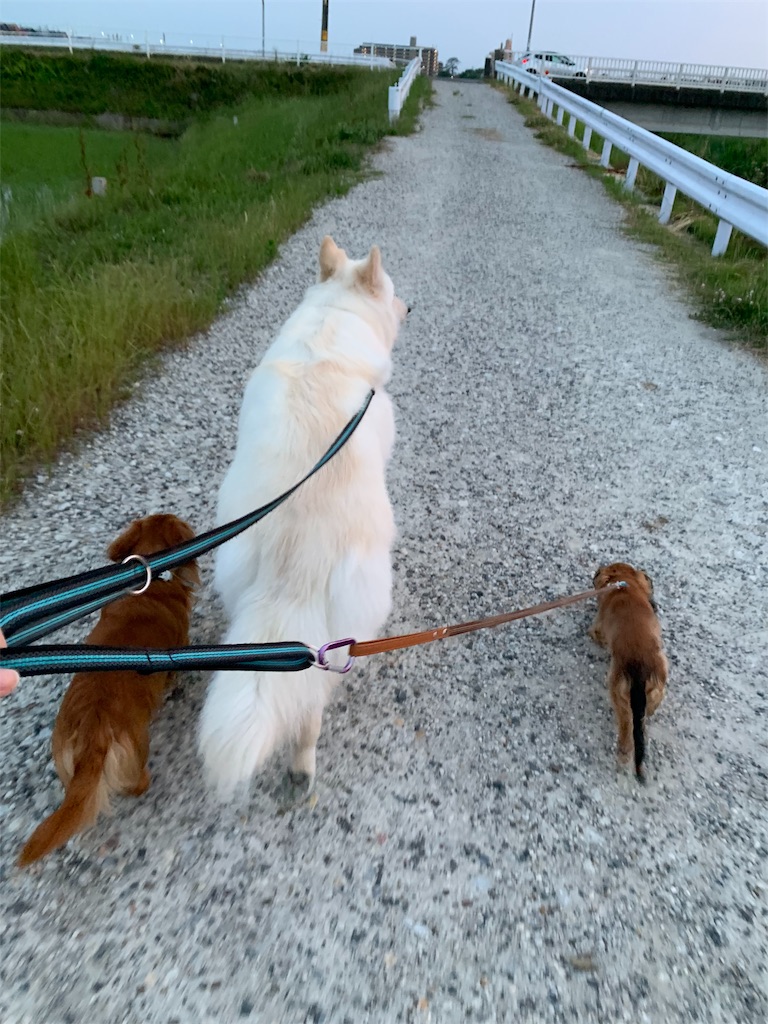 f:id:Lien0927:20190612163431j:image f:id:Lien0927:20190612163431j:image