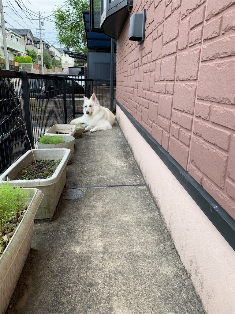 f:id:Lien0927:20190612165224j:image f:id:Lien0927:20190612165224j:image