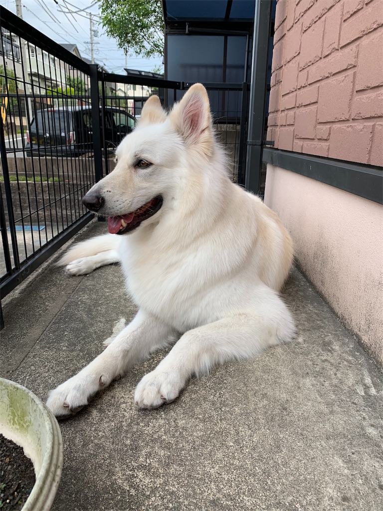 f:id:Lien0927:20190612165231j:image f:id:Lien0927:20190612165231j:image