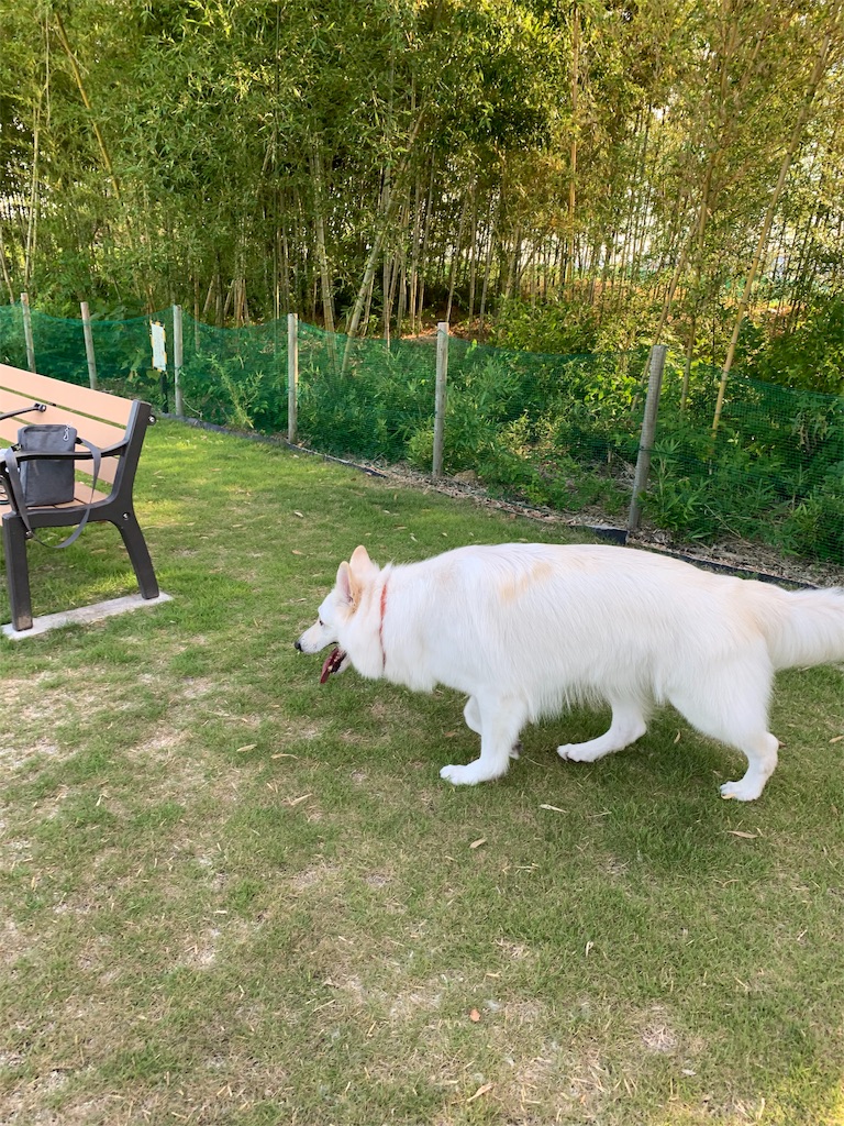 f:id:Lien0927:20190809010212j:image