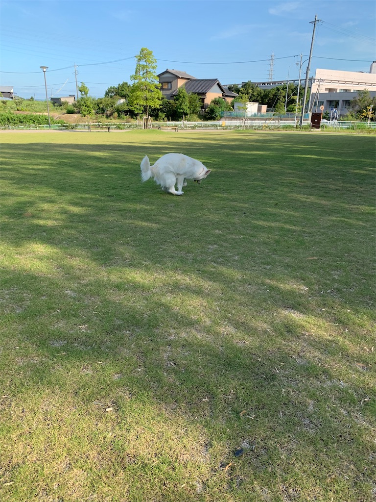 f:id:Lien0927:20190809010331j:image