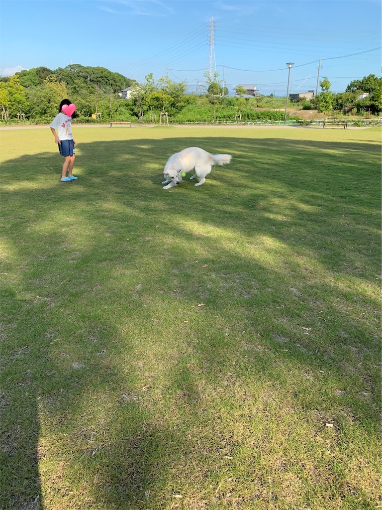 f:id:Lien0927:20190809010336j:image