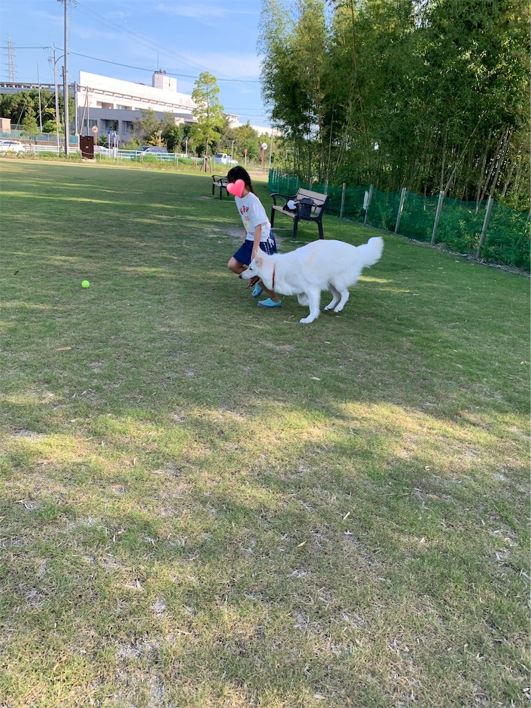 f:id:Lien0927:20190809010340j:image