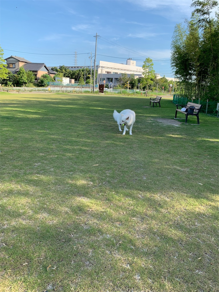 f:id:Lien0927:20190809010344j:image