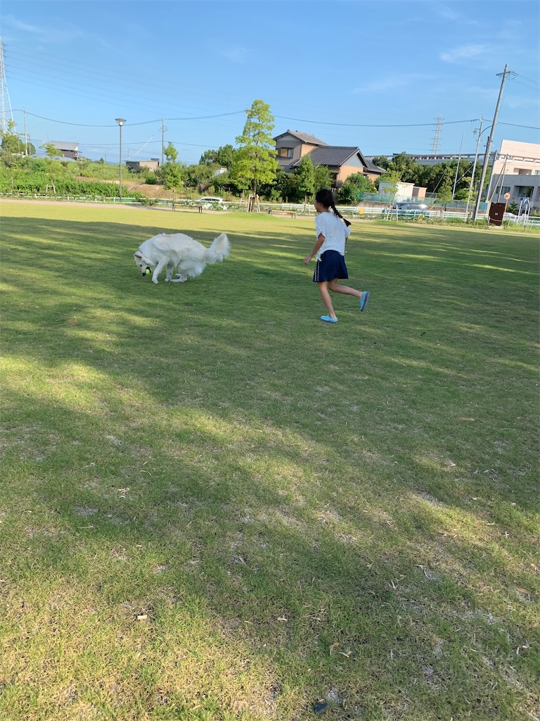 f:id:Lien0927:20190809010347j:image