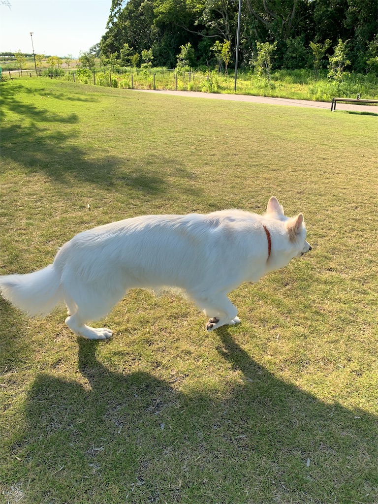 f:id:Lien0927:20190809010442j:image