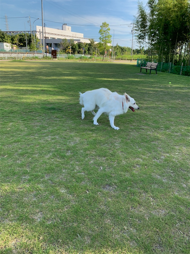 f:id:Lien0927:20190809010532j:image