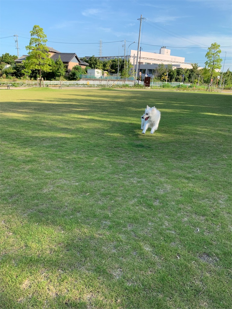 f:id:Lien0927:20190809010535j:image