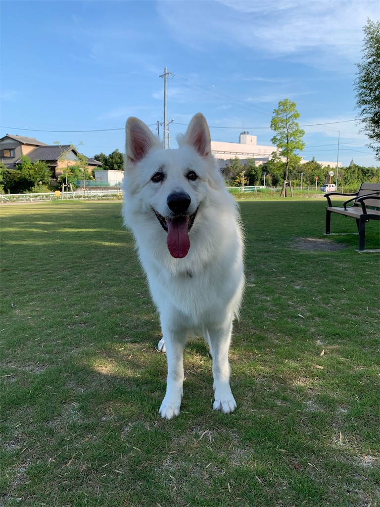 f:id:Lien0927:20190809011740j:image