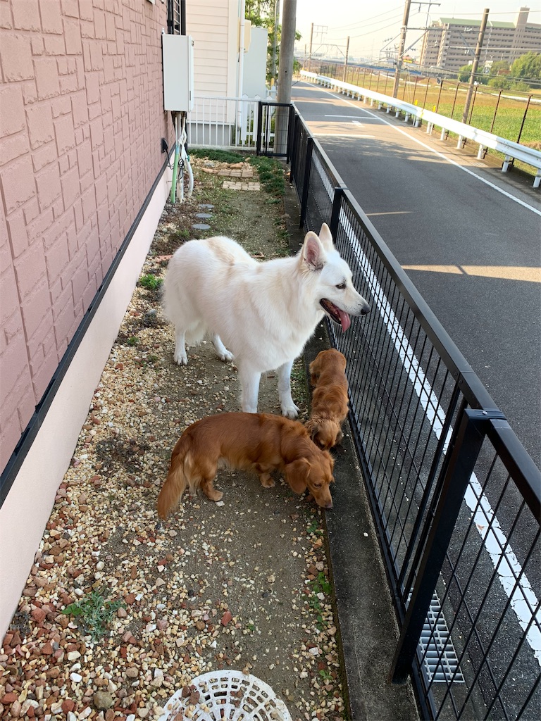 f:id:Lien0927:20191030183517j:image