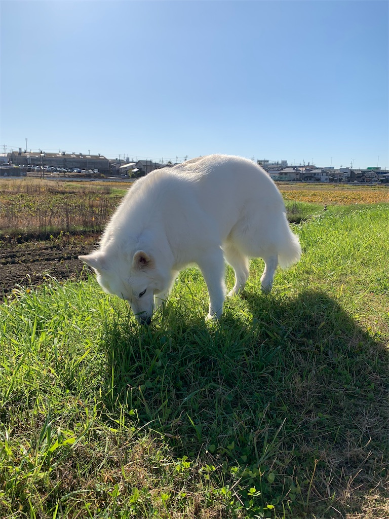 f:id:Lien0927:20191113013351j:image