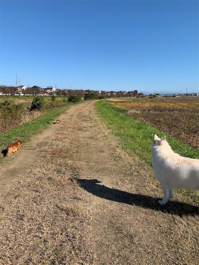 f:id:Lien0927:20191113013354j:image