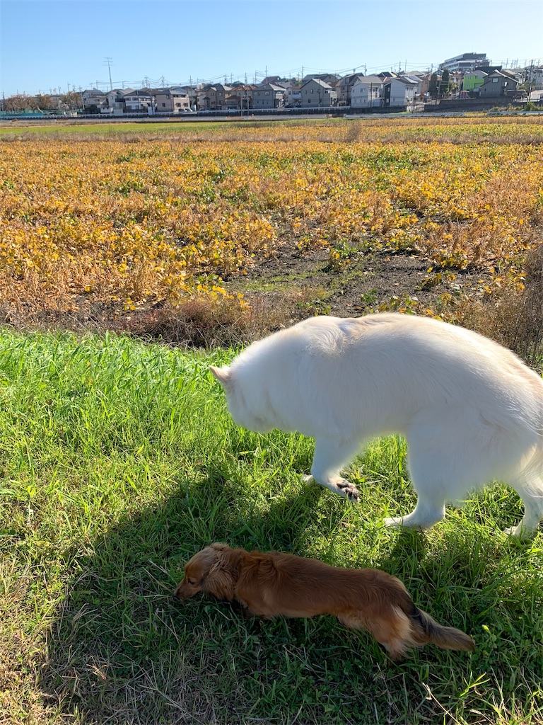 f:id:Lien0927:20191113013405j:image