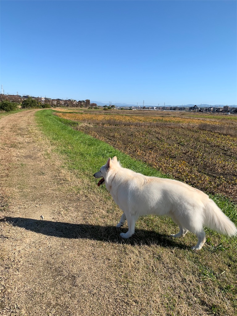 f:id:Lien0927:20191113013413j:image