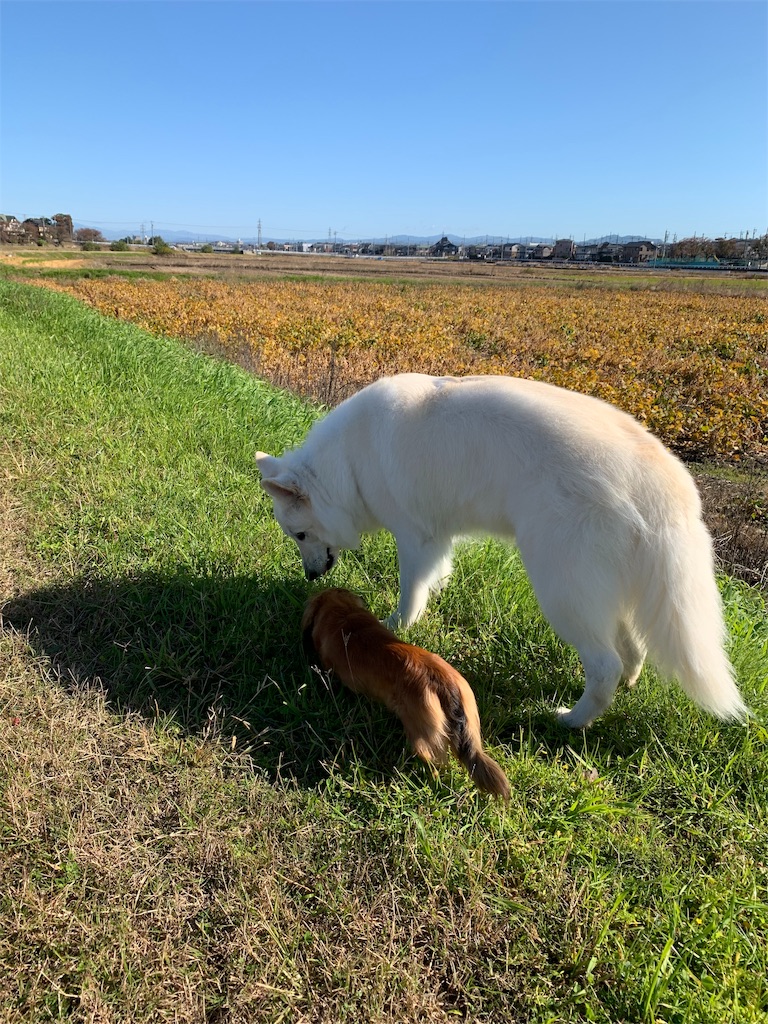 f:id:Lien0927:20191113013425j:image