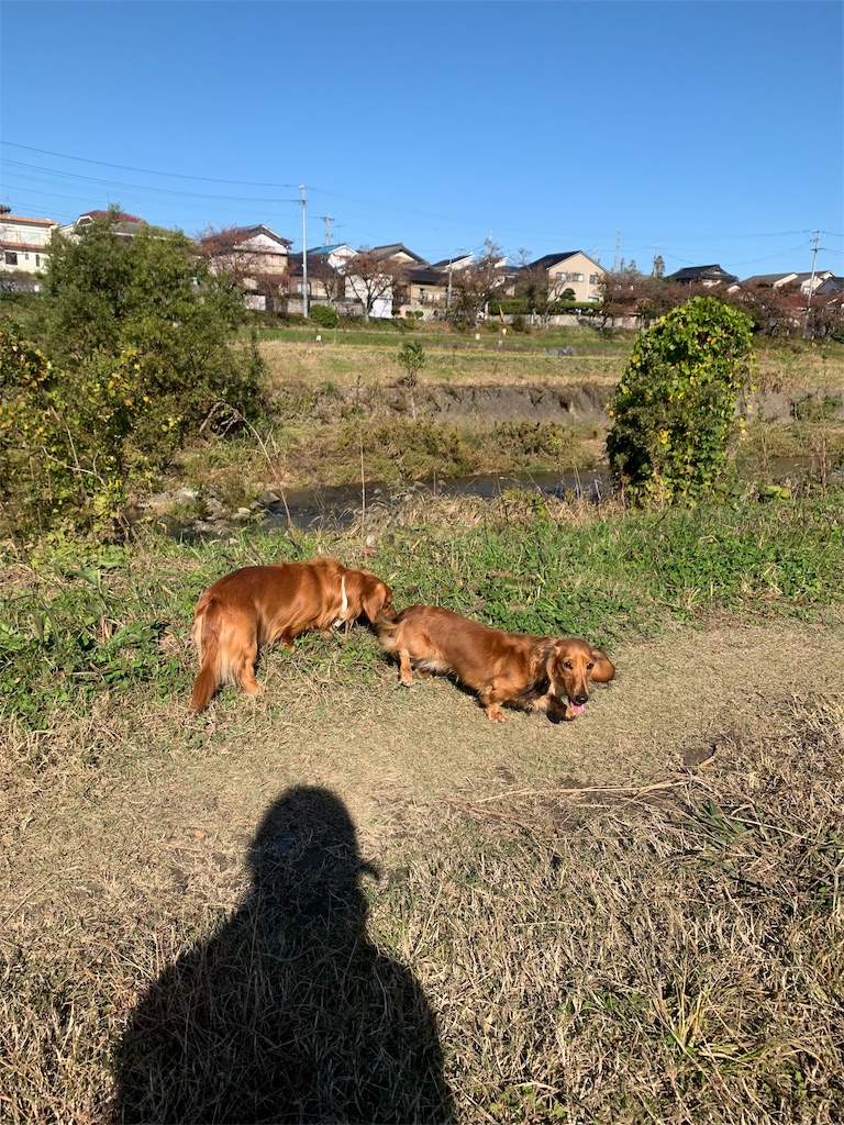 f:id:Lien0927:20191113013429j:image