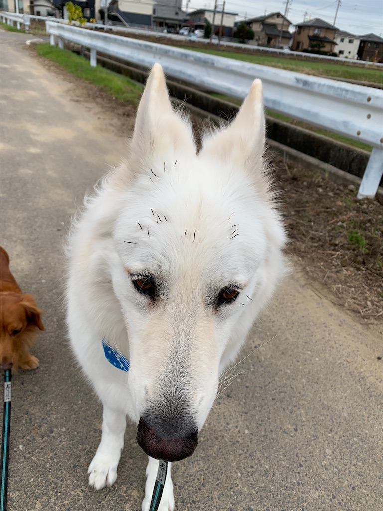 f:id:Lien0927:20191127021900j:image