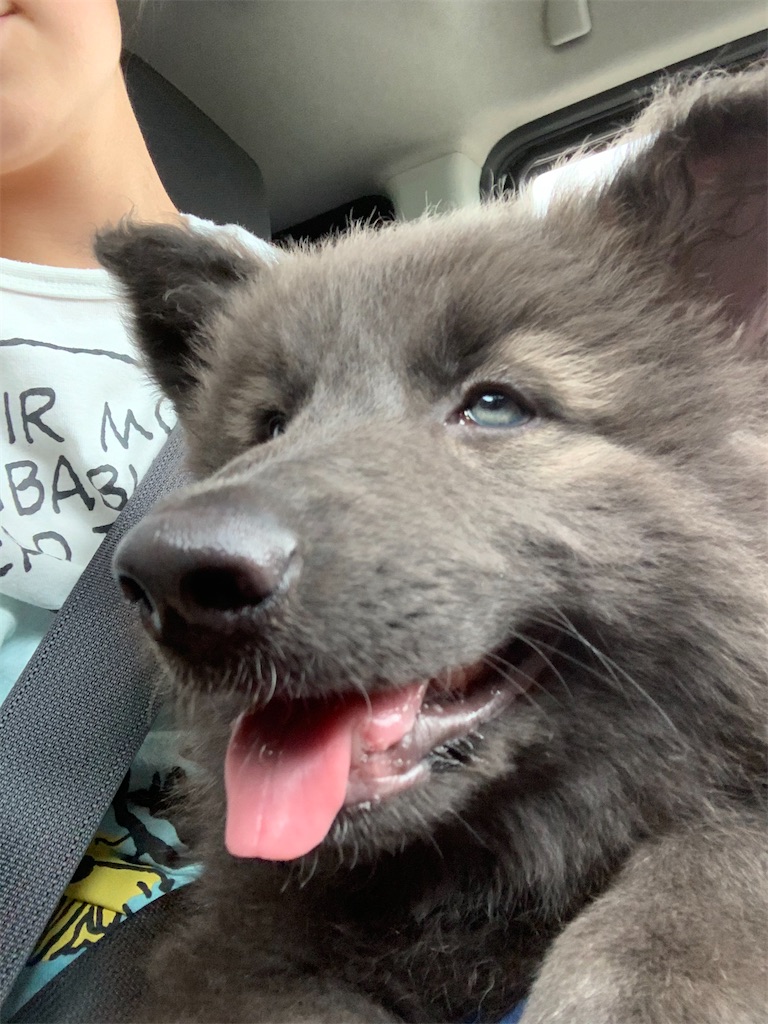 f:id:Lien0927:20200611001937j:image