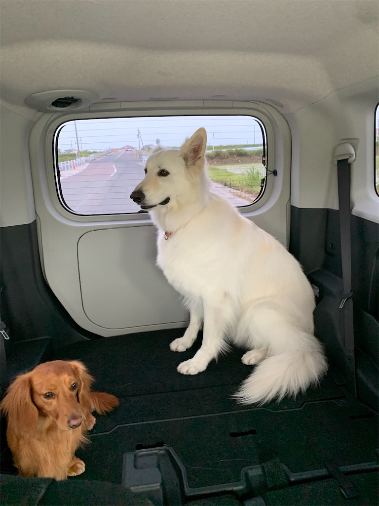 f:id:Lien0927:20200611001951j:image