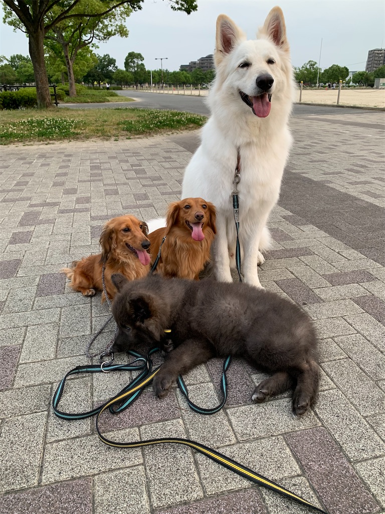 f:id:Lien0927:20200611003308j:image