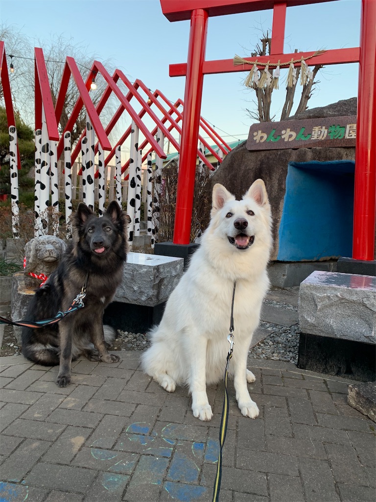 f:id:Lien0927:20210110012617j:image